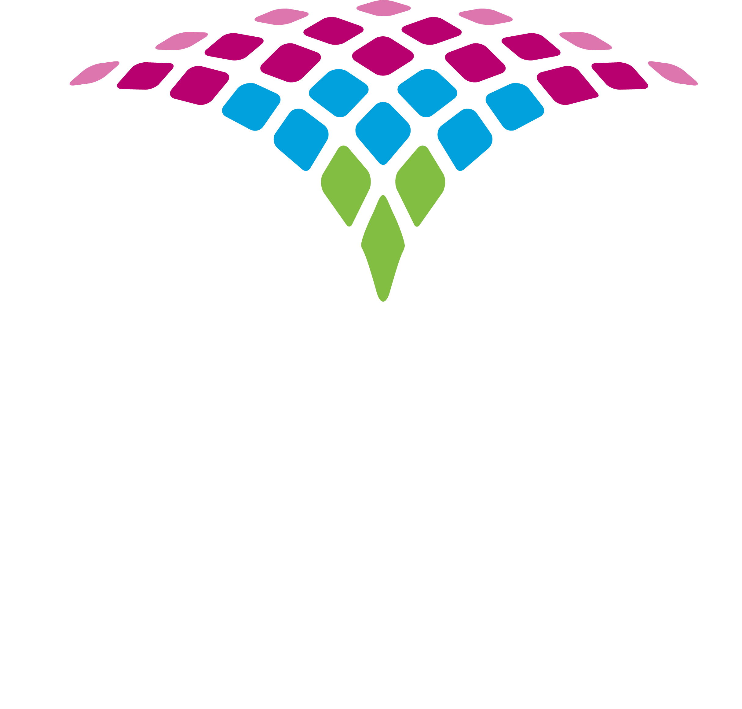 FluMist® Quadrivalent (Influenza Vaccine Live, Intranasal) Logo FluMist® Quadrivalent (Influenza Vaccine Live, Intranasal) Logo
