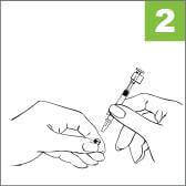 FluMist Quadrivalent Administration Step 2